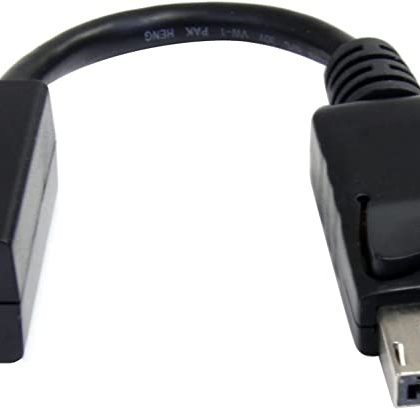 Mini DisplayPort Video Cable Adapter